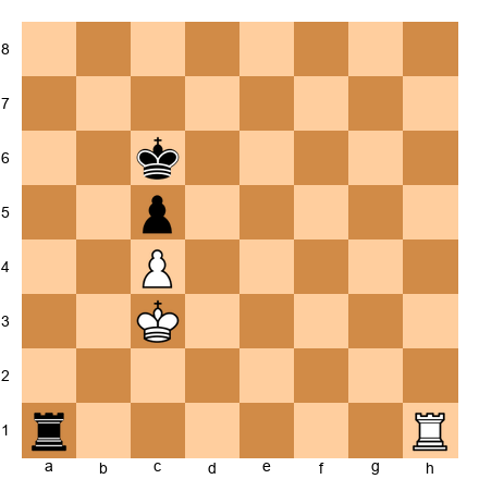 Chess Position