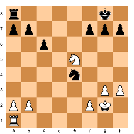 Chess Position
