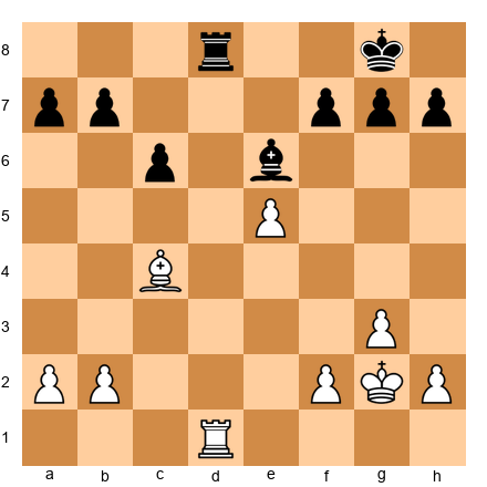 Chess Position