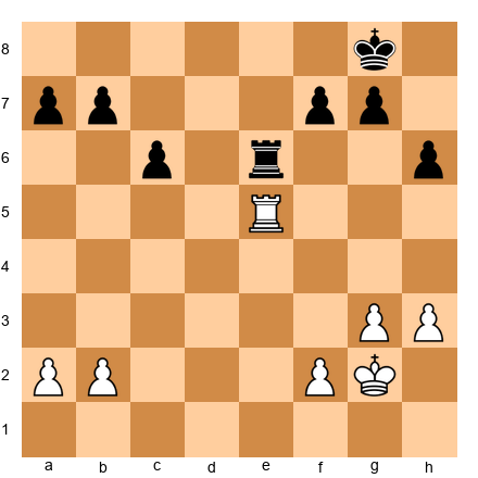 Chess Position