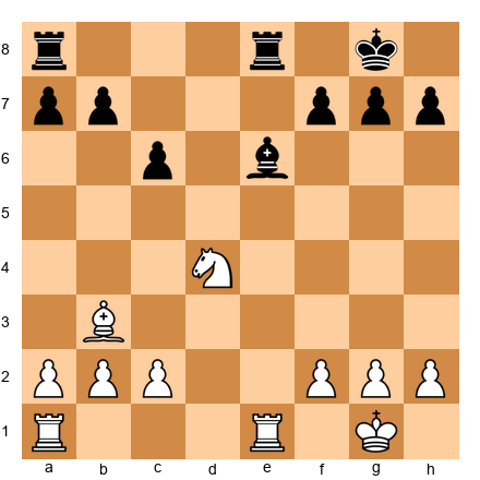 Chess Position
