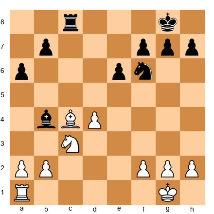 Chess Position