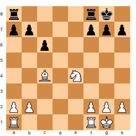 Chess Position
