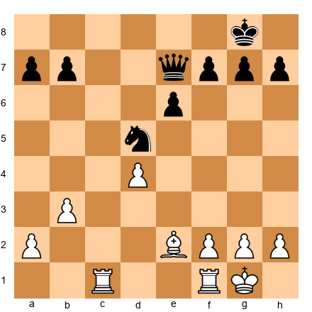 Chess Position