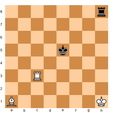 Chess Position