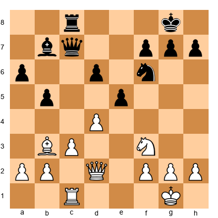 Chess Position
