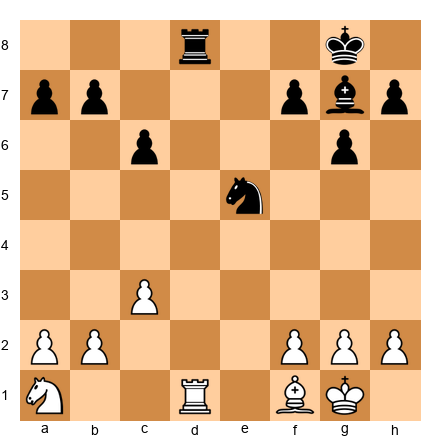 Chess Position