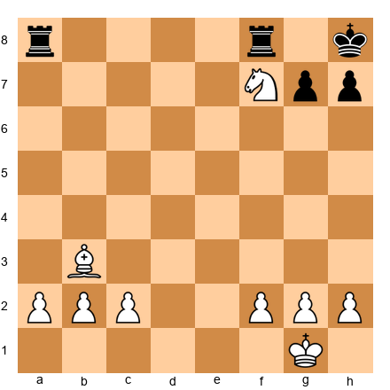 Chess Position