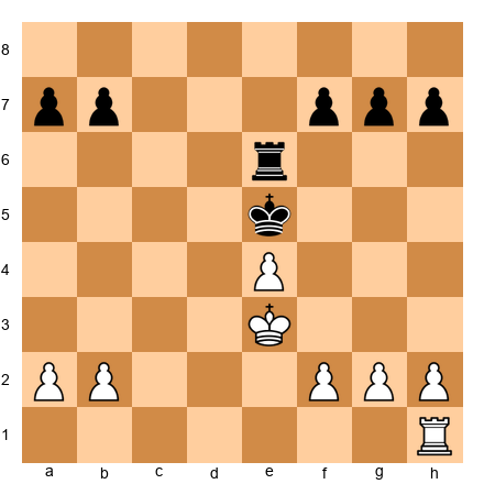 Chess Position