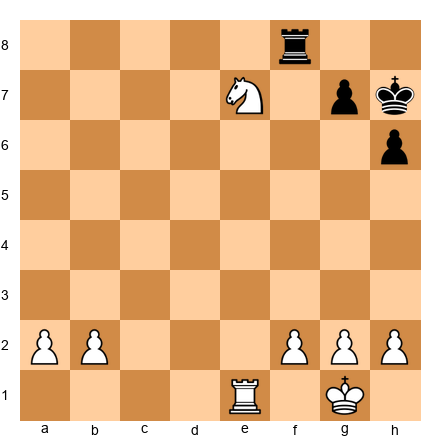 Chess Position