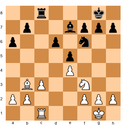 Chess Position