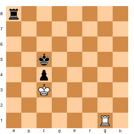 Chess Position
