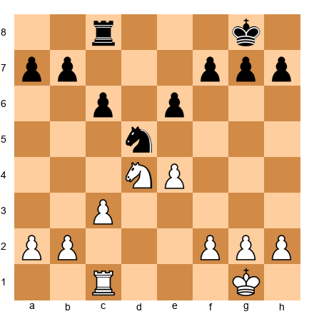 Chess Position