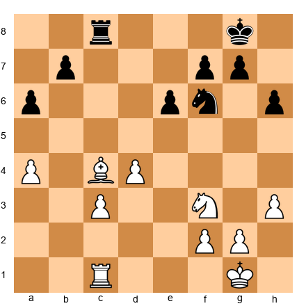 Chess Position