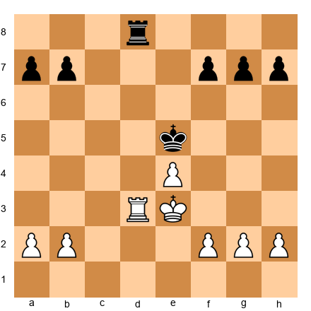 Chess Position