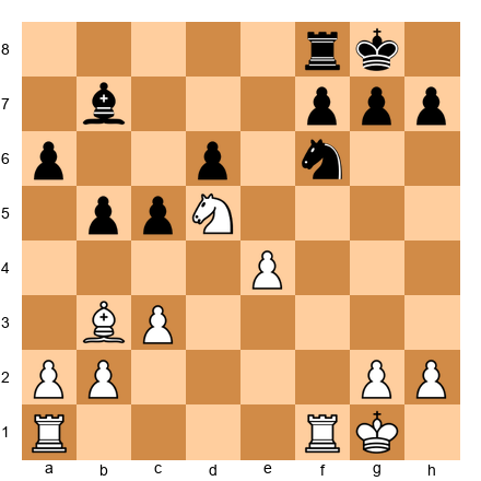 Chess Position